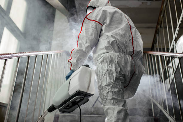 Best Mold Prevention Services  in Tuscola, IL